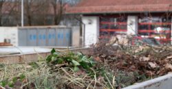 Stellenausschreibung Mitarbeit Wertstoffhof