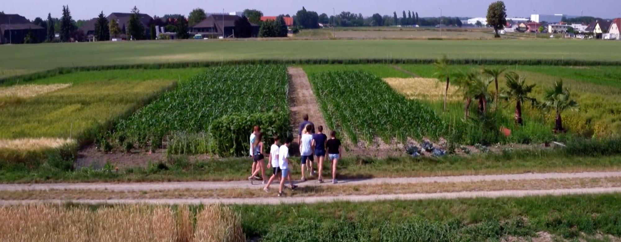 Öko-Modellregion: Sommerlicher Kinoabend am 5. Juni
