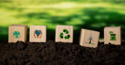 Umfrage zum Klimaschutz: Ergebnisse
