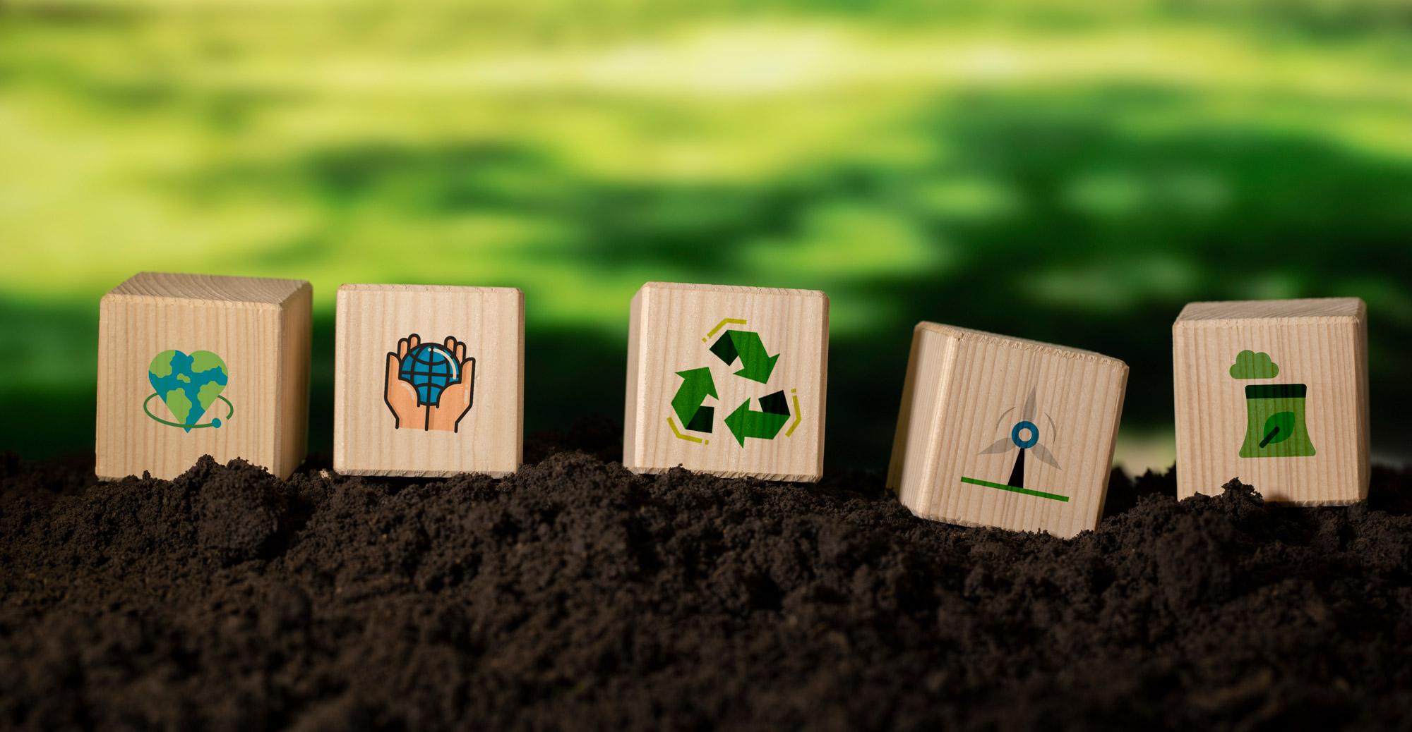 Umfrage zum Klimaschutz: Ergebnisse