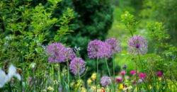 Klima-Ratgeber vom Landratsamt Ebersberg