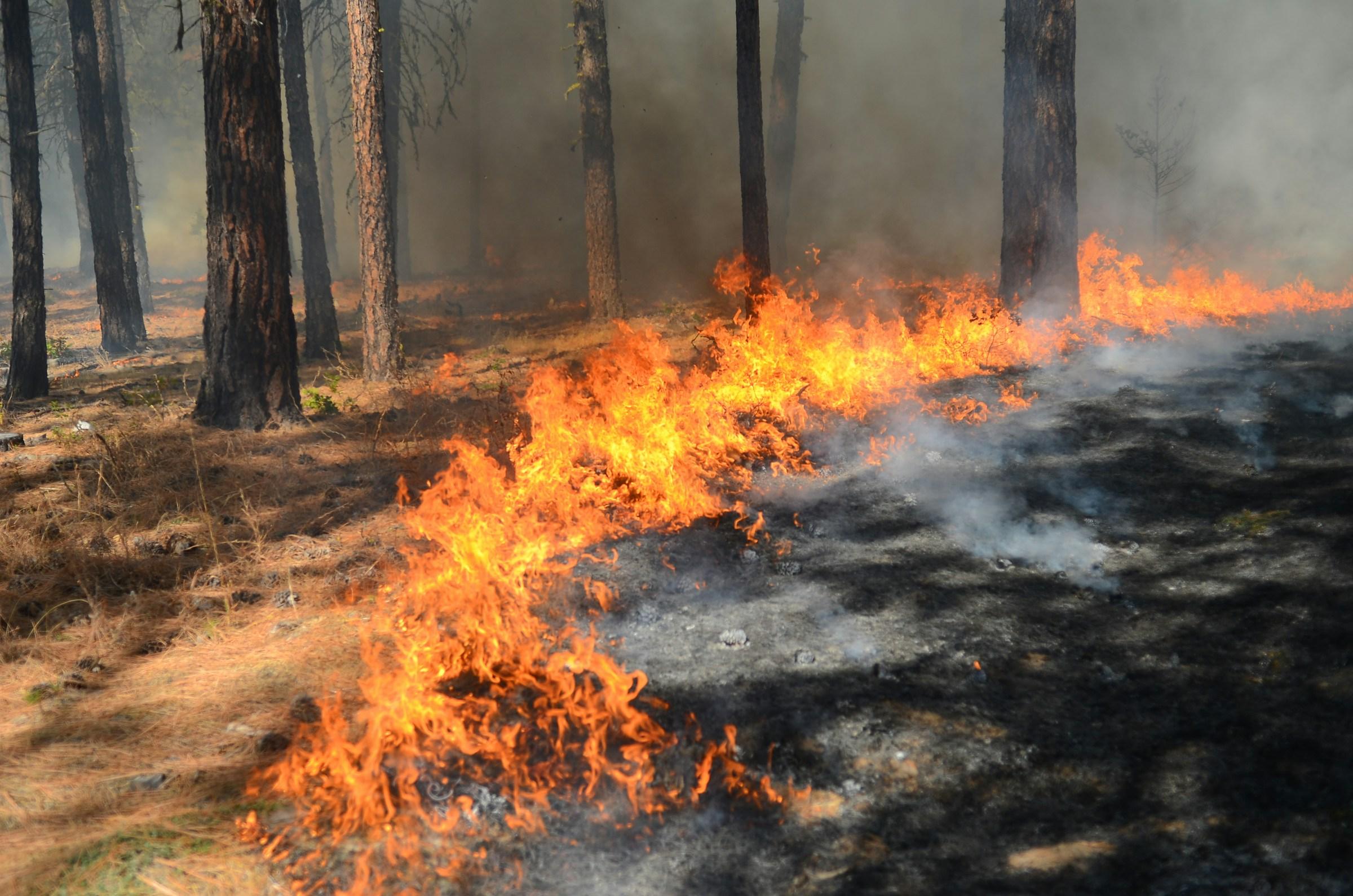 Aktueller Warnhinweis: Hohe Waldbrandgefahr